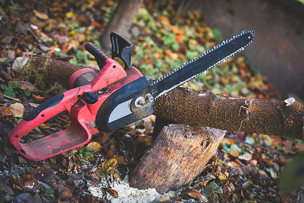 Mulching Services in Sterling, IL